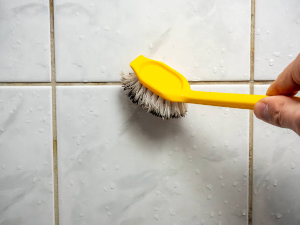 Best Mold Damage Repair  in Winfield, TN