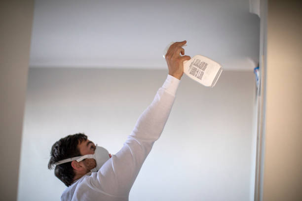 Best Fast Mold Removal  in Winfield, TN