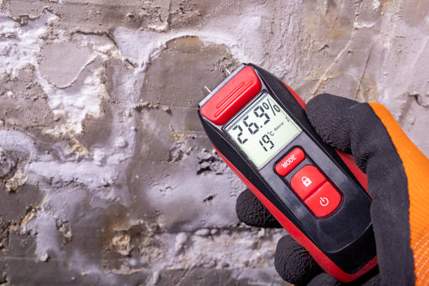Best Mold Damage Repair  in Winfield, TN