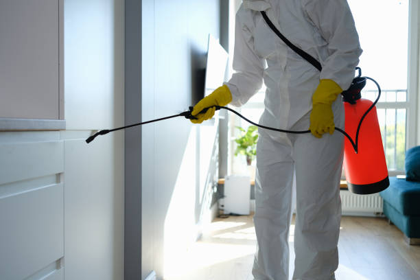 Best Mold Testing  in Winfield, TN