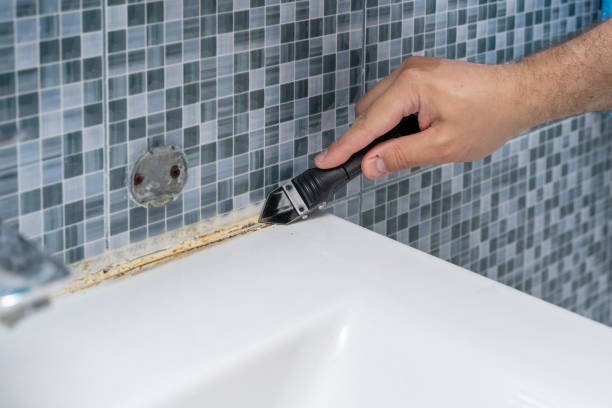 Best Local Mold Removal Service  in Winfield, TN