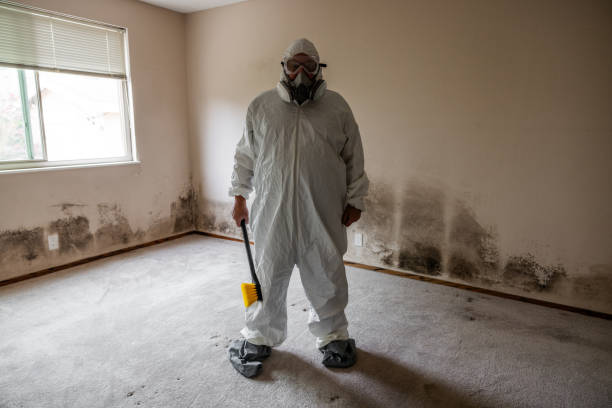 Best Professional Mold Removal  in Winfield, TN